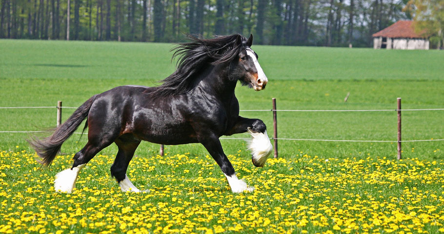 Amentities - Tenuta Il Cerro 1 Amentities - Tenuta Il Cerro 1