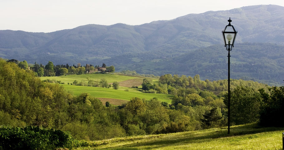 Il Parco Tenuta Il Cerro 2(DE)