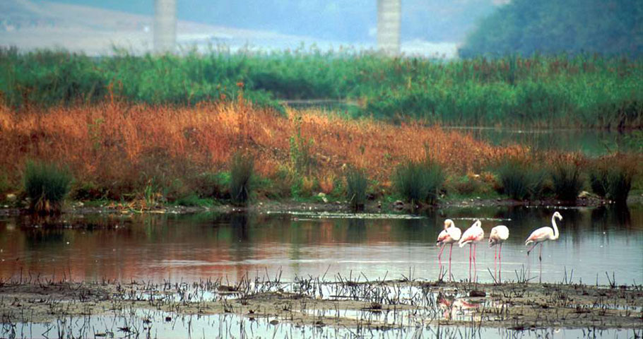 Le Oasi del Mugello 3(DE) Le Oasi del Mugello 3(DE)