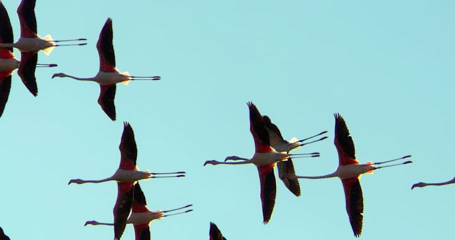 Le Oasi del Mugello 4(DE) Le Oasi del Mugello 4(DE)