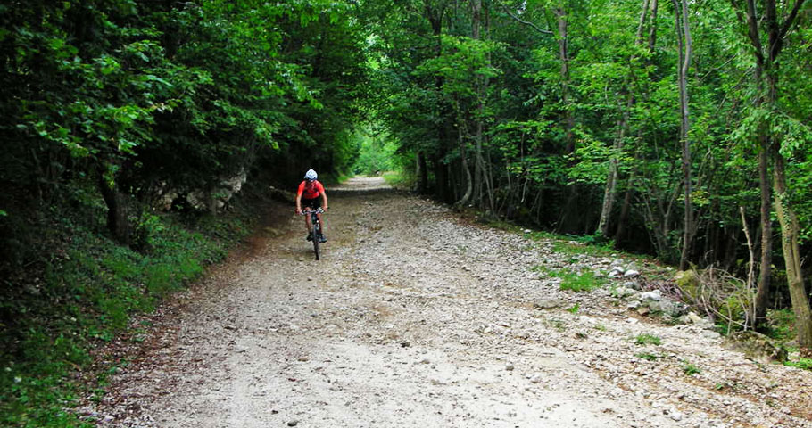 Escursioni in Mountain Bike 3(EN) Escursioni in Mountain Bike 3(EN)