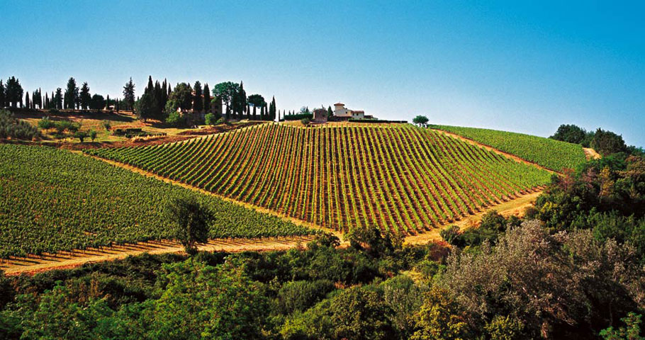 Mangiare a Firenze 2 Mangiare a Firenze 2