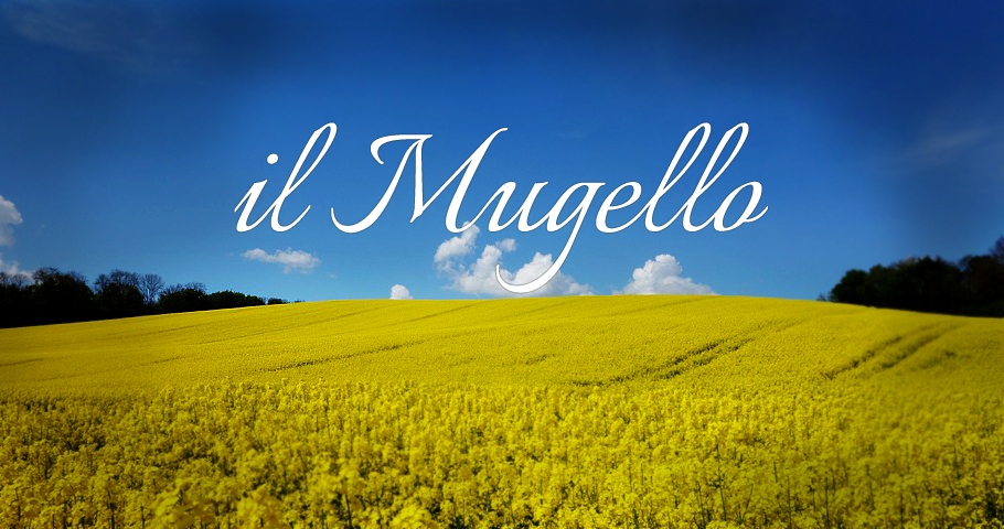 Vacanze in dimora storica a Barberino Tenuta Il Cerro Soggiorno villa storica Toscana casa vacanze piscina Mugello Vacanze in dimora storica a Barberino Tenuta Il Cerro Soggiorno villa storica Toscana casa vacanze piscina Mugello